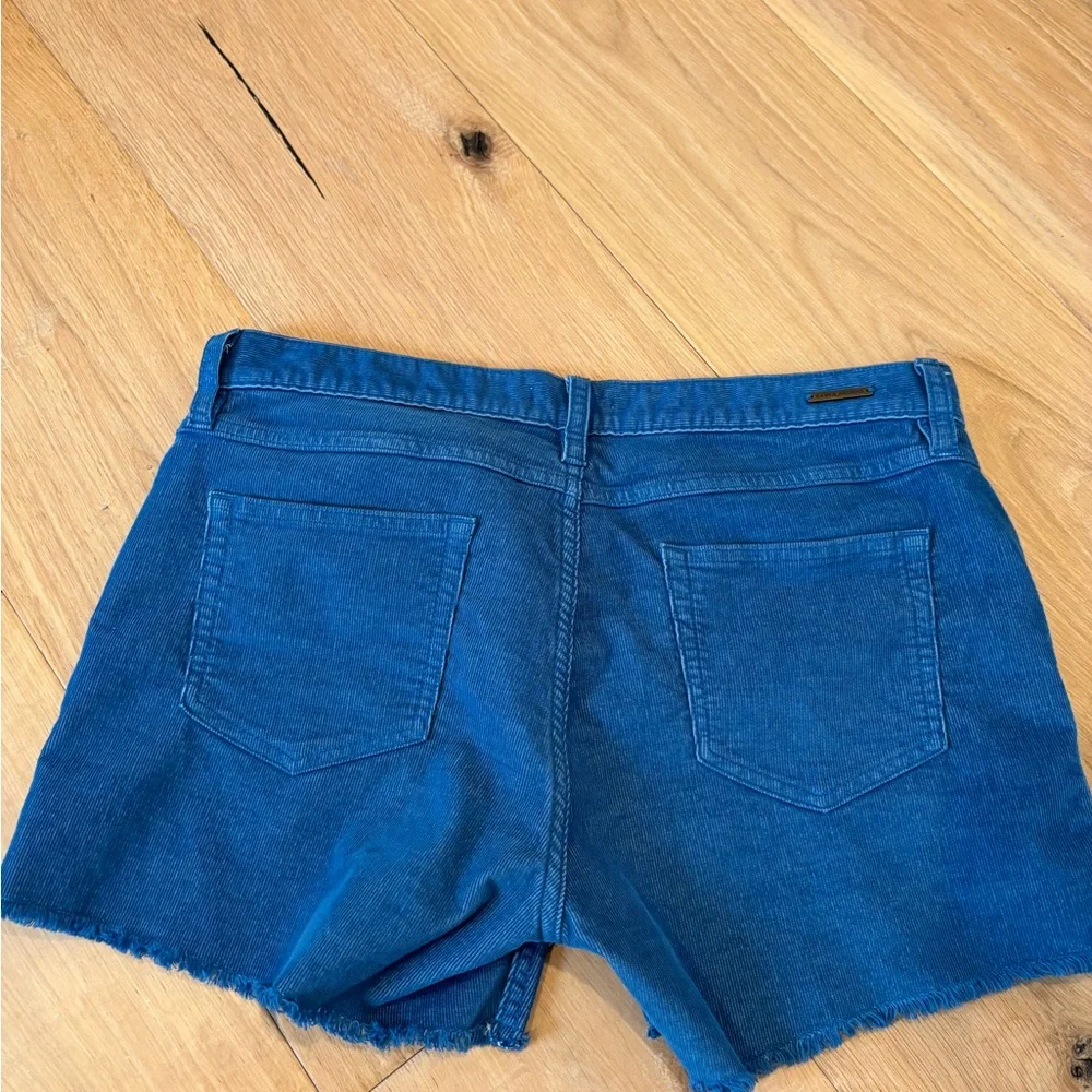 Carve Designs Blue Dogtown Corduroy Shorts - Picture 2 of 3